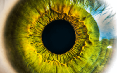 Astaxanthin and Eye Health